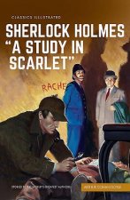 Study in Scarlet: a Sherlock Holmes Mystery