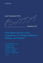 From Molecules to Living Organisms: An Interplay Between Biology and Physics