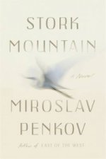 Stork Mountain
