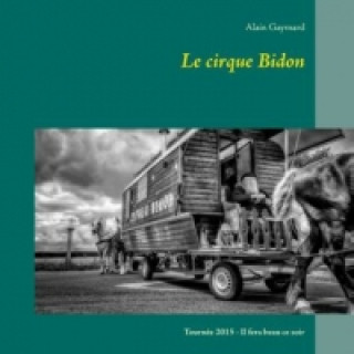 Le cirque Bidon 2015