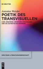Poetik des Transvisuellen