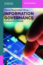 Information Governance und Cybersecurity