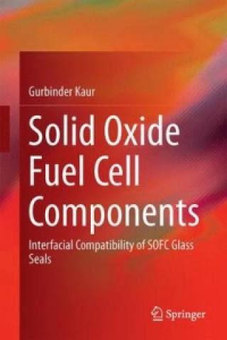 Solid Oxide Fuel Cell Components