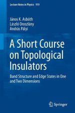 Short Course on Topological Insulators