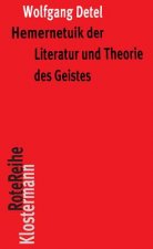 Hermeneutik der Literatur und Theorie des Geistes