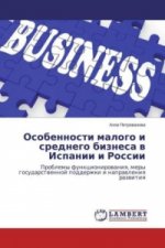 Osobennosti malogo i srednego biznesa v Ispanii i Rossii