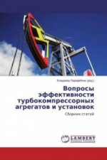 Voprosy jeffektivnosti turbokompressornyh agregatov i ustanovok