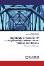 Durability of Steel/CFRP strengthening system under various conditions