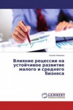 Vliyanie recessii na ustojchivoe razvitie malogo i srednego biznesa
