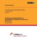 Einfuhrung des Mindestlohns in Deutschland. Darstellung, Theorie und Bewertung