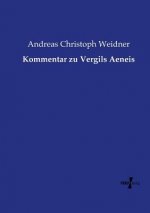 Kommentar zu Vergils Aeneis