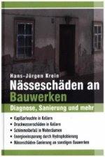 Nässeschäden an Bauwerken