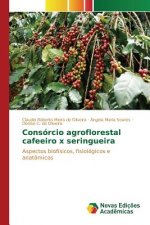 Consorcio agroflorestal cafeeiro x seringueira