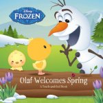 FROZEN OLAF WELCOMES SPRING