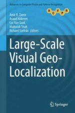 Large-Scale Visual Geo-Localization