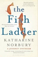 Fish Ladder