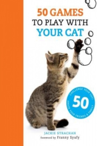 50 Games to Play with Your Cat