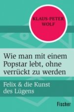 Felix und die Kunst des Lügens - Wie man mit einem Popstar lebt, ohne verrückt zu werden