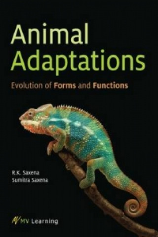 Animal Adaptations