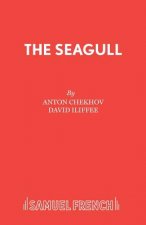 Seagull