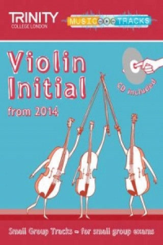 Small Group Tracks: Initial Track Violin from 2014