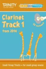 Small Group Tracks: Track 1 Clarinet from 2014