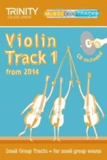 Small Group Tracks: Track 1 Violin from 2014