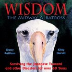 Midway Albatross Wisdom