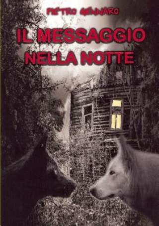 Messaggio Nella Notte