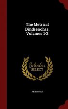 Metrical Dindsenchas, Volumes 1-2