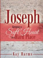 Joseph - Keeping a Soft Heart in a Hard Place