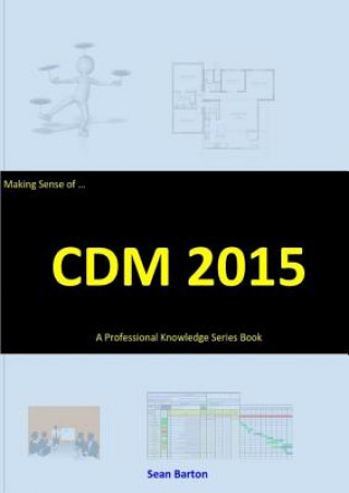 Making Sense of CDM 2015