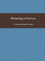 Marketing of Services