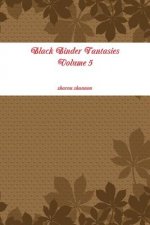 Black Binder Fantasies Volume 5