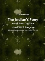 Indian's Pony