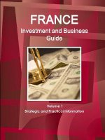 France Investment and Business Guide Volume 1 Strategic and Practical Information