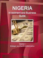 Nigeria Investment and Business Guide Volume 1 Strategic and Practical Information
