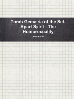 Torah Gematria of the Set-Apart Spirit - the Homosexuality
