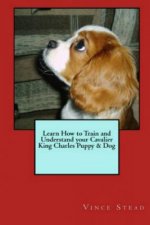 Learn How to Train and Understand Your Cavalier King Charles Puppy & Dog