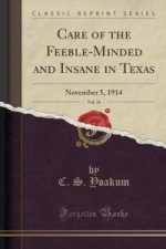 Care of the Feeble-Minded and Insane in Texas, Vol. 16
