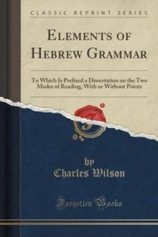 Elements of Hebrew Grammar