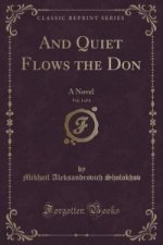 And Quiet Flows the Don, Vol. 1 of 4