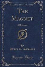Magnet