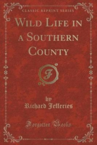 Wild Life in a Southern County (Classic Reprint)