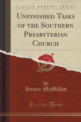 Unfinished Tasks of the Southern Presbyterian Church (Classic Reprint)