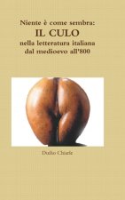 Niente e come sembra: IL CULO nella letteratura italiana dal medioevo all'800