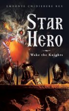 Star Hero