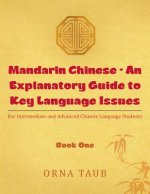 Mandarin Chinese - An Explanatory Guide to Key Language Issues