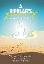 Bipolar's Journey