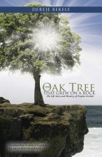 Oak Tree that Grew on a Rock